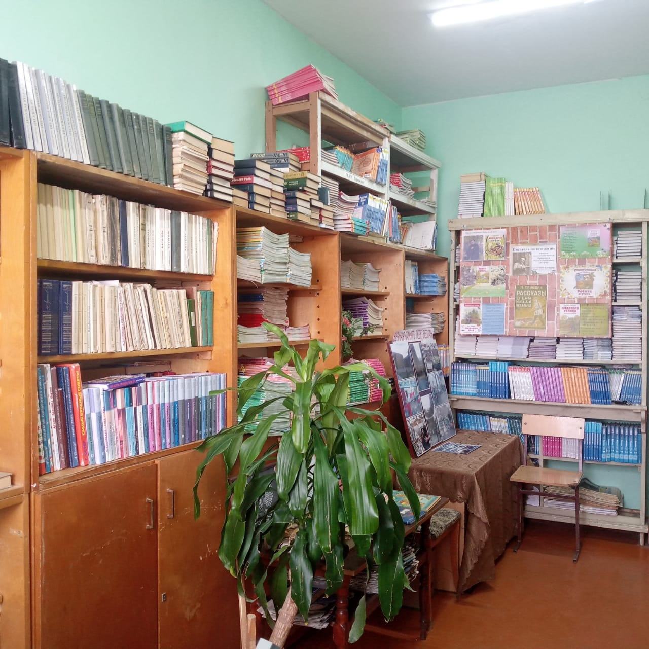 Библиотека