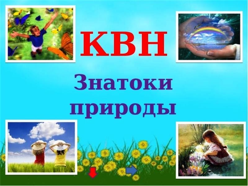 Экологический КВН «Знатоки природы» Экологический КВН «Знатоки природы».