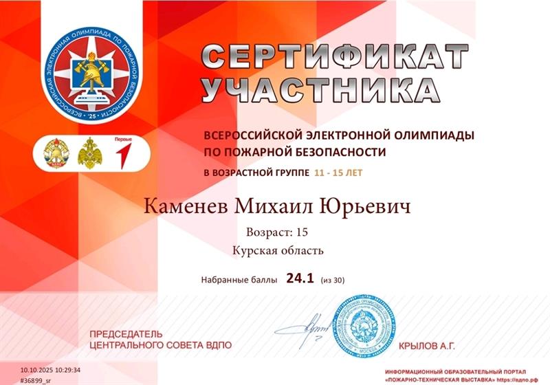 Олимпиада по пожарной безопасности.
